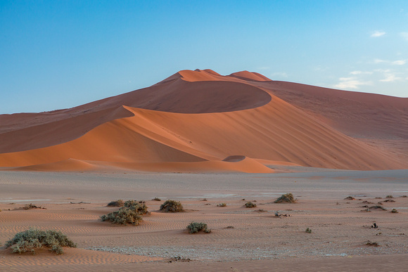 Namibian Sands